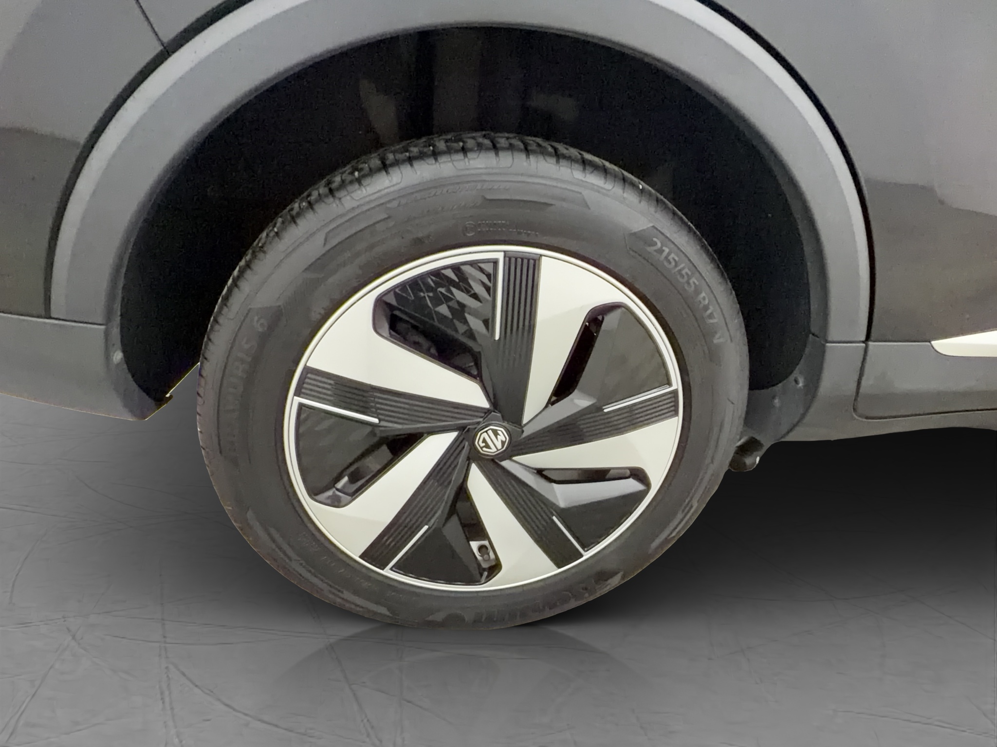 Mg ZS 2023 - miniatyr 31