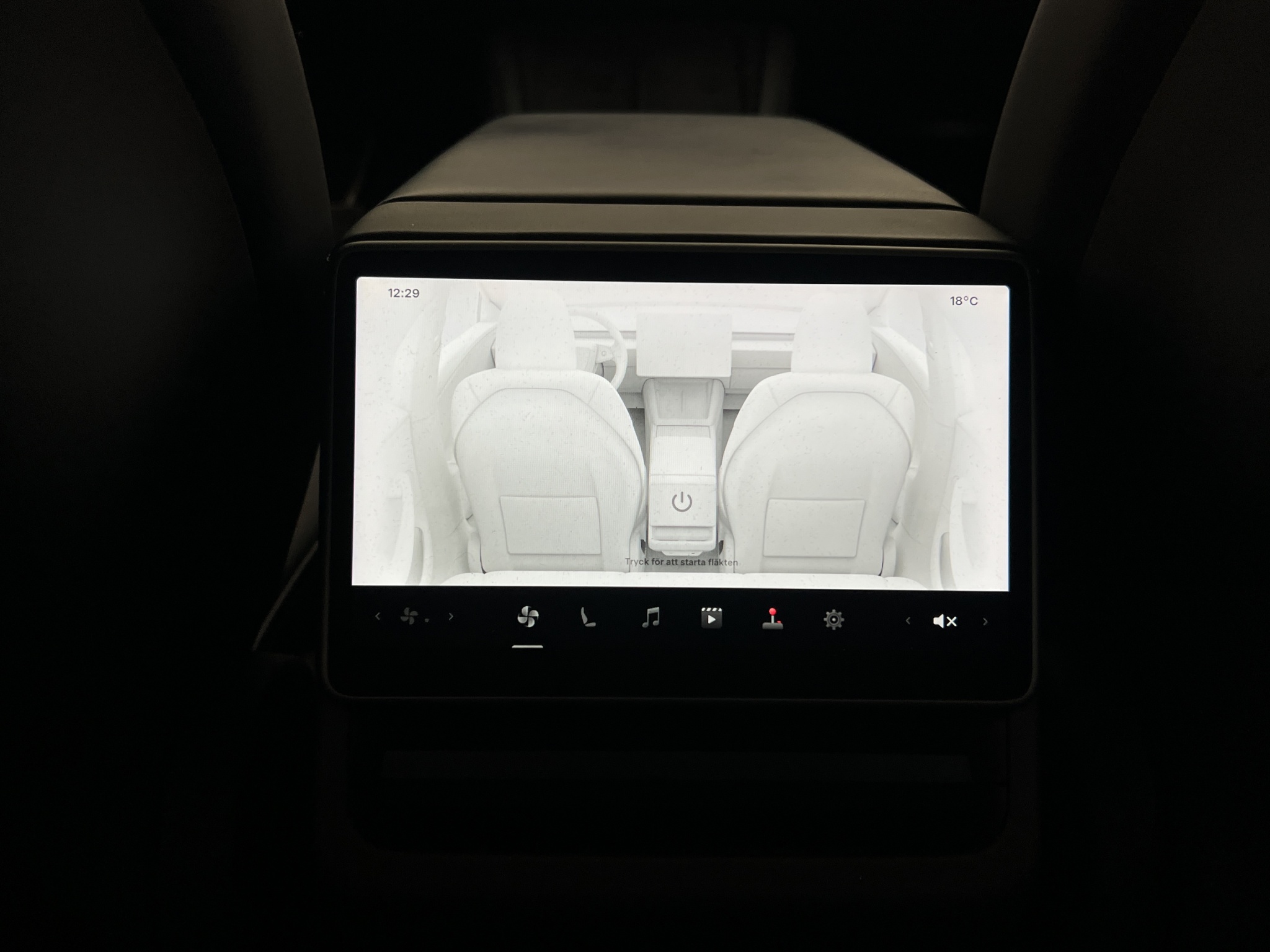 Tesla Model 3 2024 - miniatyr 27