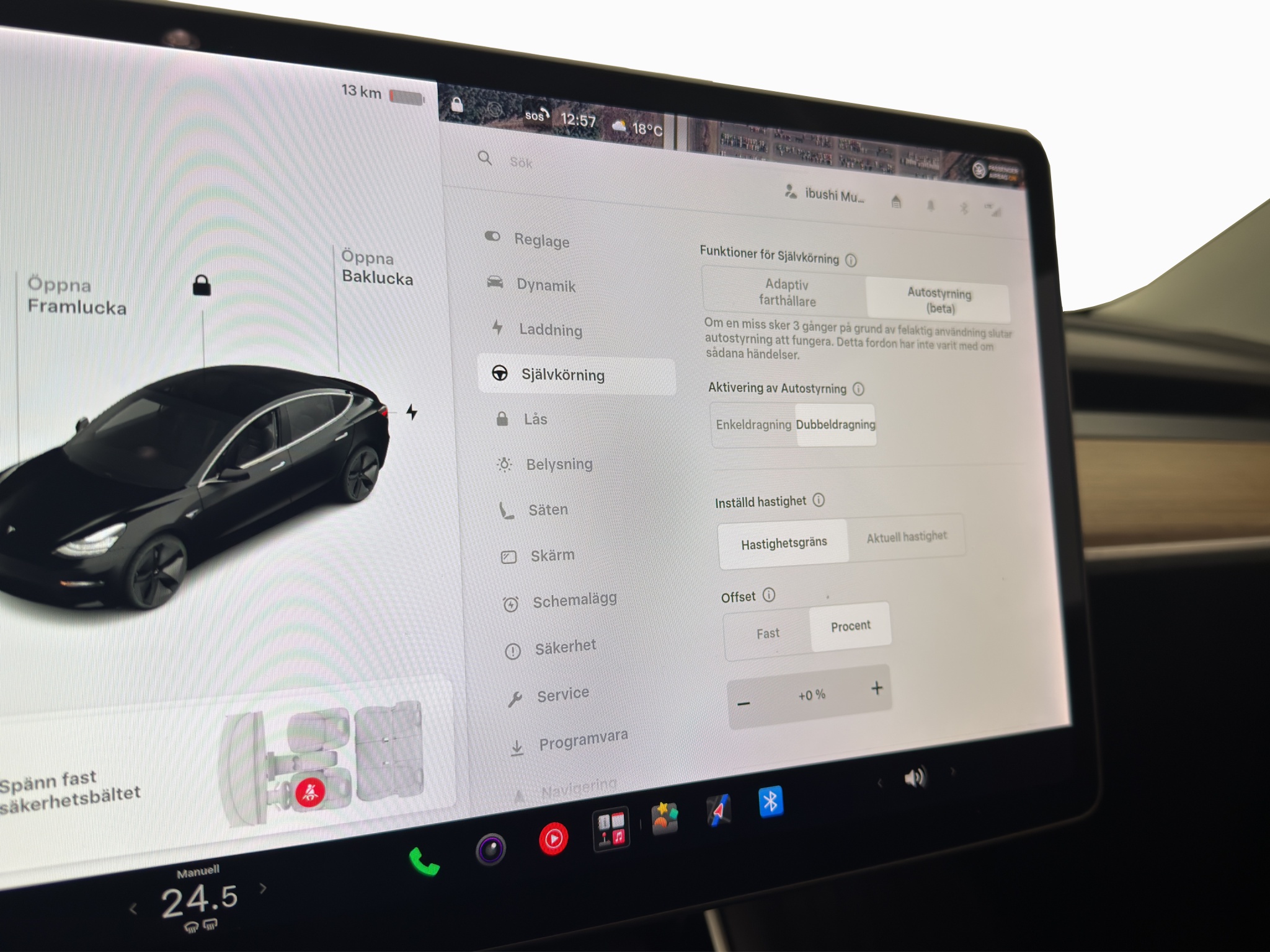 Tesla Model 3 2019 - miniatyr 21