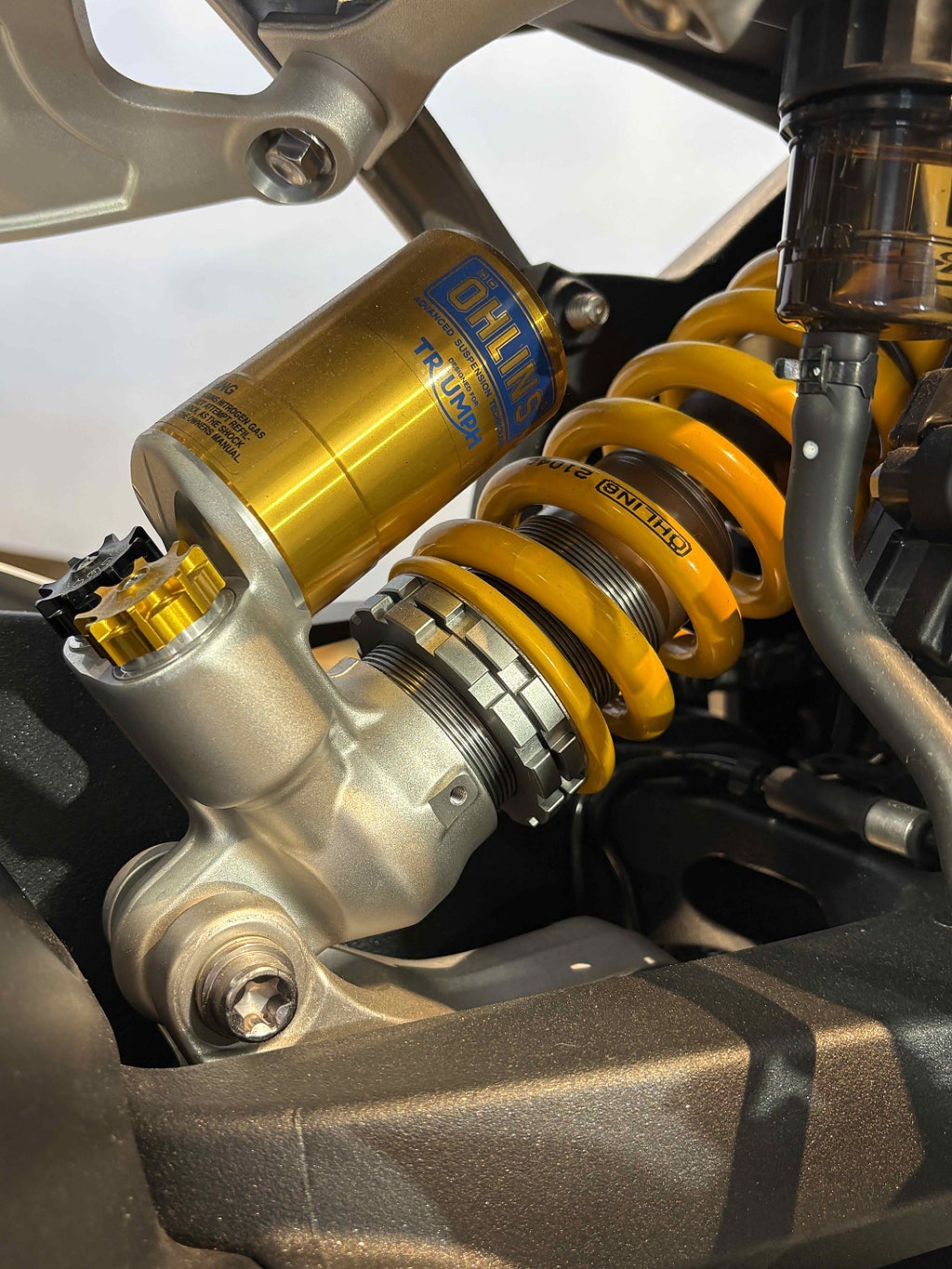 Triumph Speed 2024 - miniatyr 13