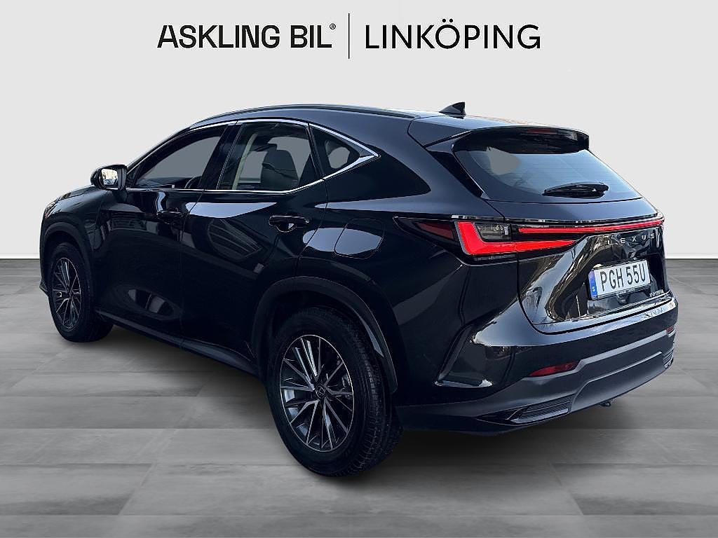 Lexus NX350h 2024 - miniatyr 2