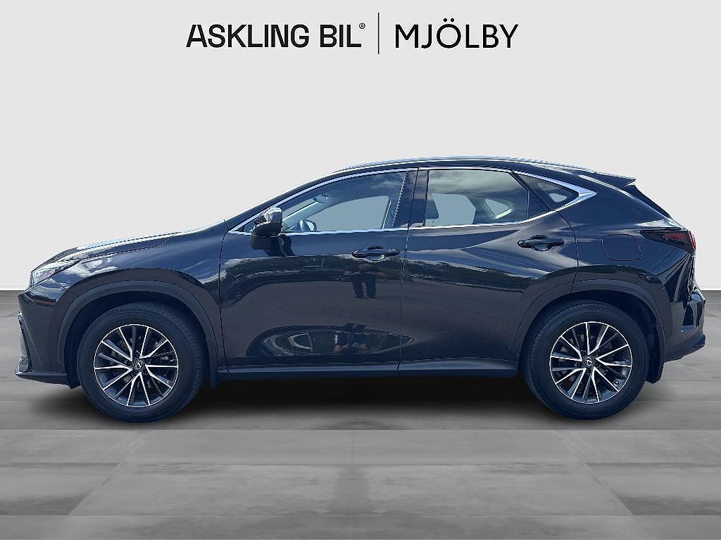 Lexus NX350h 2022 - miniatyr 2