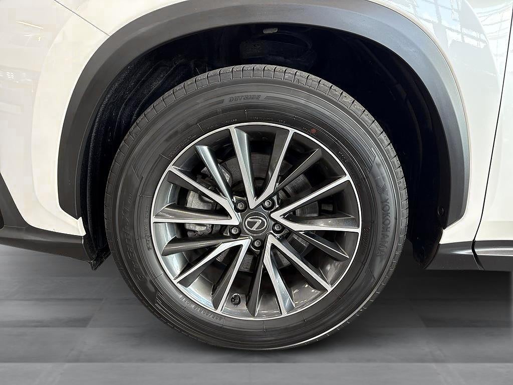 Lexus NX 2024 - miniatyr 11