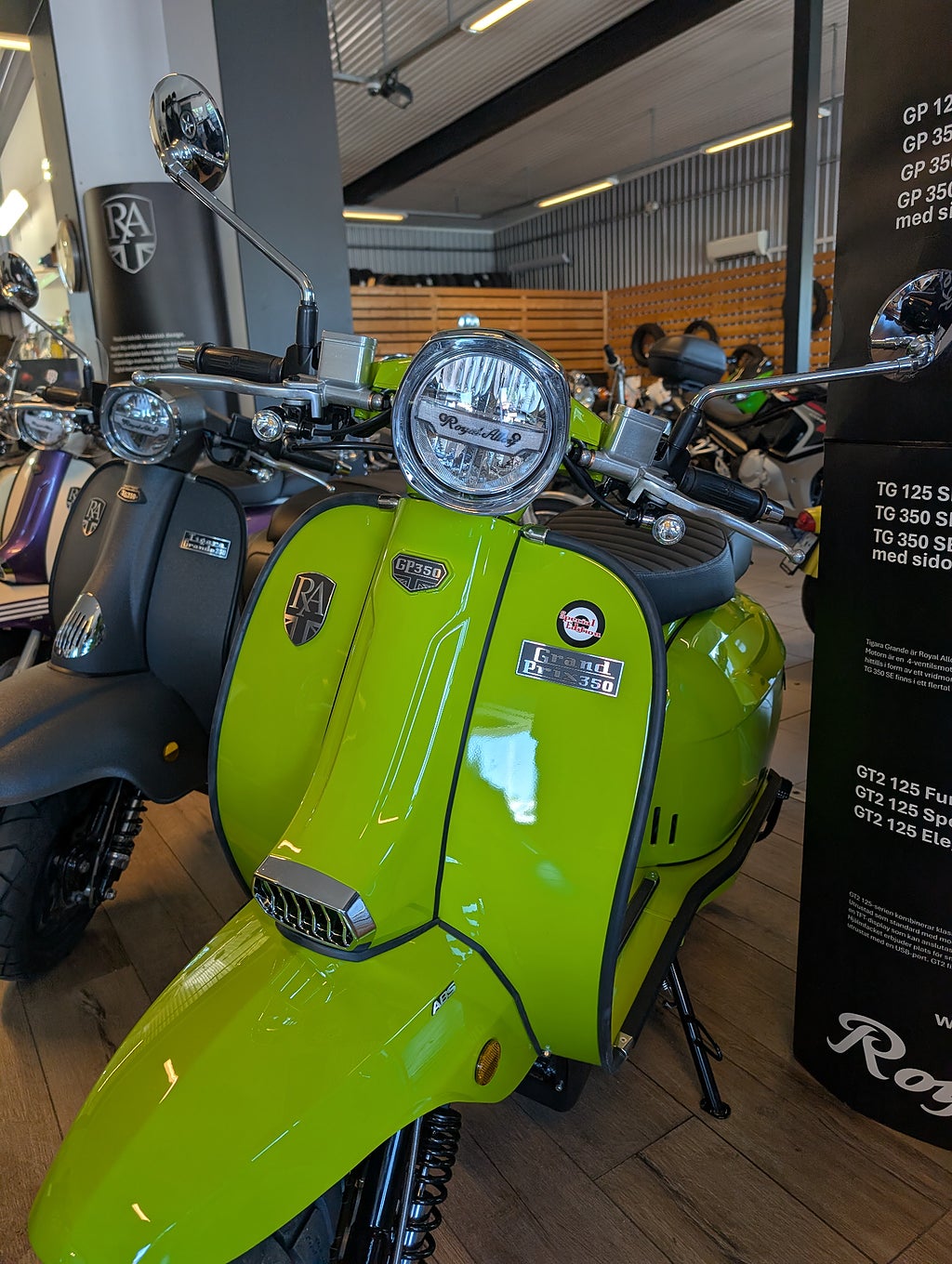 Royal Alloy GP350 2026 - miniatyr 2