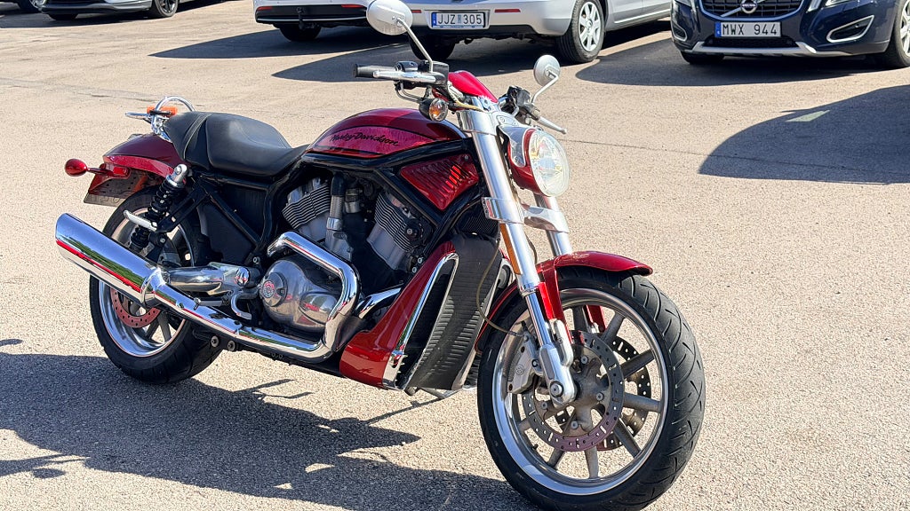 Harley-Davidson VRSCR 2006 - miniatyr 7